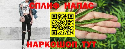 прущие грибы Балашиха
