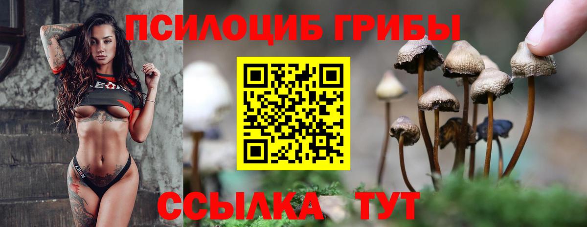 Галлюциногенные грибы MAGIC MUSHROOMS  Вход с VPN  Горно-Алтайск 